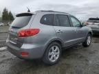 2007 Hyundai Santa FE SE