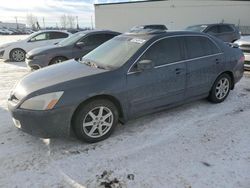 Salvage cars for sale at Rocky View County, AB auction: 2003 Honda Accord EX