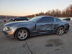 Salvage cars for sale at Brookhaven, NY auction: 2014 Ford Mustang