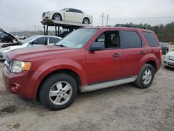 Salvage cars for sale from Copart Greenwell Springs, LA: 2010 Ford Escape XLT