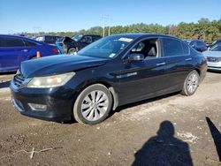 Honda Accord exl salvage cars for sale: 2013 Honda Accord EXL