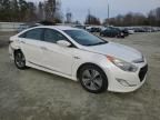 2013 Hyundai Sonata Hybrid