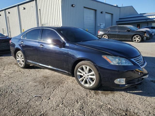 2010 Lexus ES 350