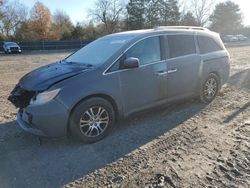 Honda Vehiculos salvage en venta: 2011 Honda Odyssey EXL