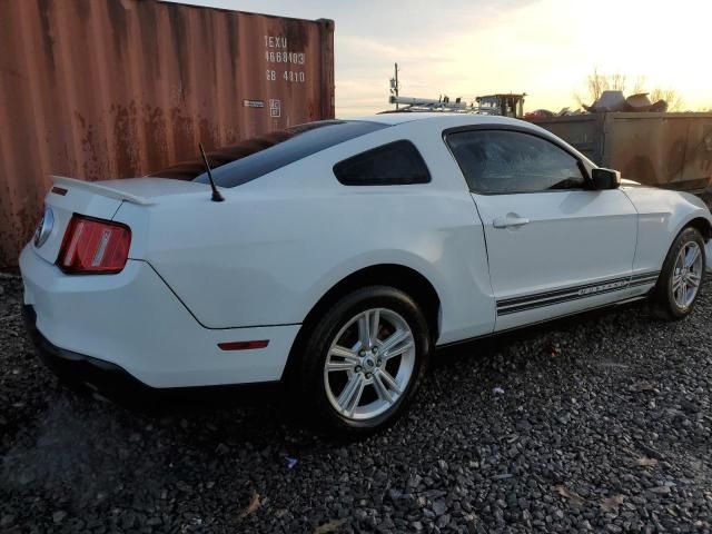 2010 Ford Mustang