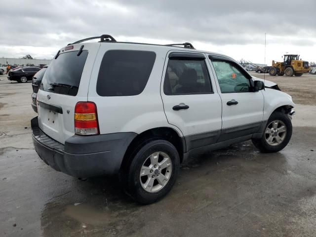 2005 Ford Escape XLT