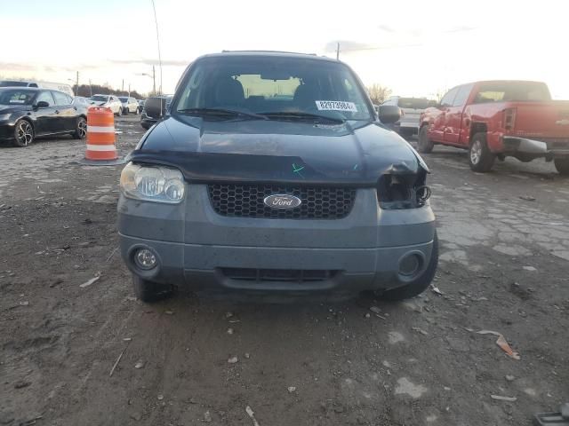 2005 Ford Escape XLT