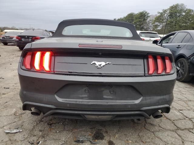 2019 Ford Mustang