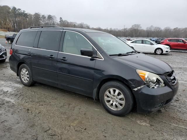 2008 Honda Odyssey EXL