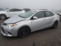 Salvage cars for sale at Arlington, WA auction: 2016 Toyota Corolla L