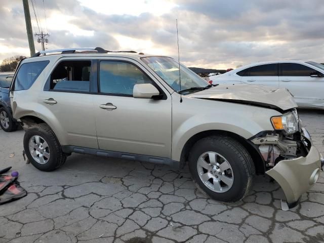 2011 Ford Escape Limited