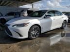 2023 Lexus ES 350 Base