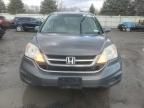 2011 Honda CR-V EXL