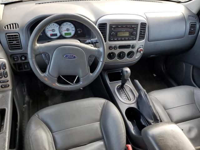 2005 Ford Escape XLT