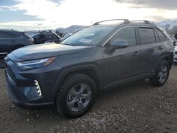 Salvage cars for sale at Magna, UT auction: 2024 Toyota Rav4 XLE