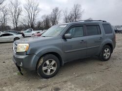 Salvage cars for sale at Cicero, IN auction: 2009 Honda Pilot EX