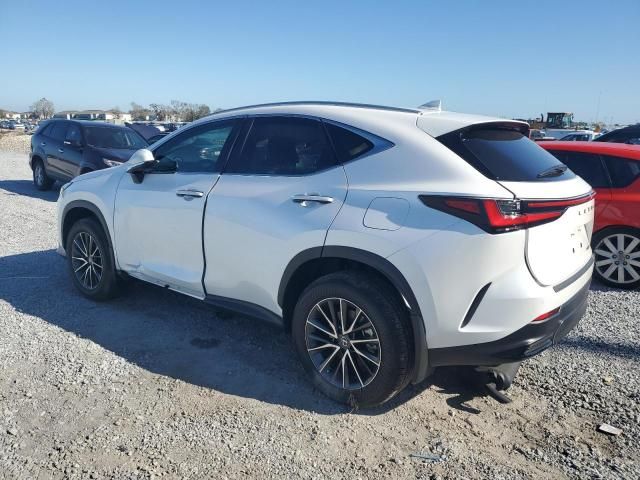 2025 Lexus NX 250 Premium