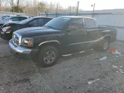 Salvage cars for sale from Copart Louisville, KY: 2005 Dodge Dakota Quad SLT