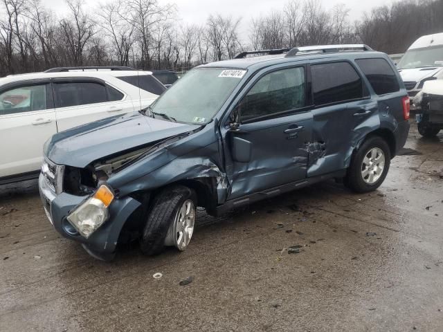 2011 Ford Escape Limited