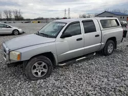 Salvage cars for sale at Barberton, OH auction: 2007 Dodge Dakota Quad SLT