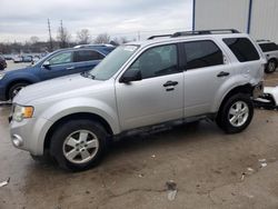 Salvage cars for sale at Lawrenceburg, KY auction: 2011 Ford Escape XLT