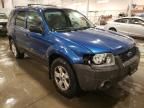 2007 Ford Escape XLT