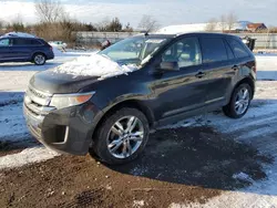 Ford Vehiculos salvage en venta: 2013 Ford Edge SEL