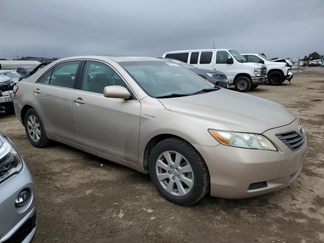 2008 Toyota Camry Hybrid