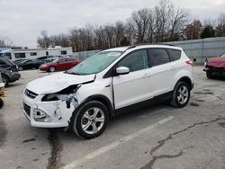 Salvage cars for sale at Bridgeton, MO auction: 2014 Ford Escape SE