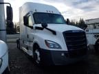 2021 Freightliner Cascadia 126