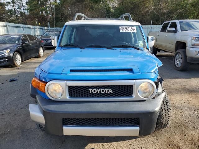 2007 Toyota FJ Cruiser