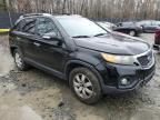 2012 KIA Sorento Base