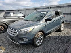 Flood-damaged cars for sale at auction: 2019 Ford Escape SEL