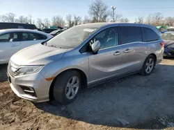 Salvage cars for sale at Baltimore, MD auction: 2019 Honda Odyssey EXL