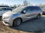 2019 Honda Odyssey EXL