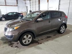 Salvage cars for sale at Lexington, KY auction: 2013 KIA Sportage Base