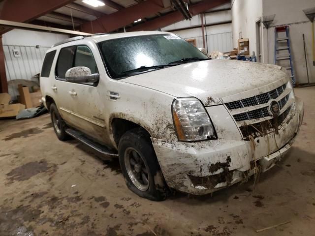 2014 Cadillac Escalade Luxury