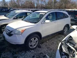 Honda salvage cars for sale: 2010 Honda CR-V EXL