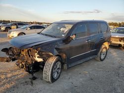 Salvage cars for sale at Houston, TX auction: 2019 Lexus GX 460