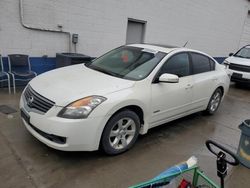 Nissan salvage cars for sale: 2008 Nissan Altima Hybrid