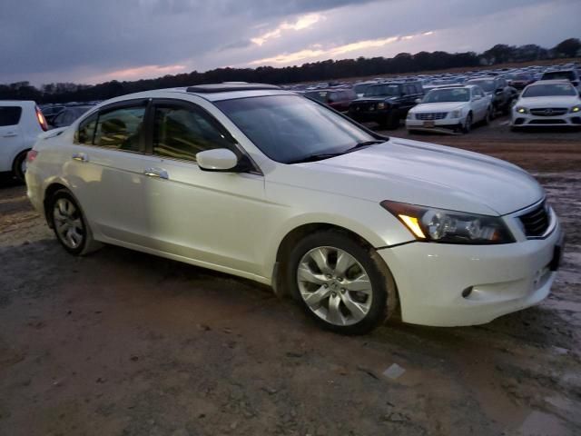 2009 Honda Accord EXL