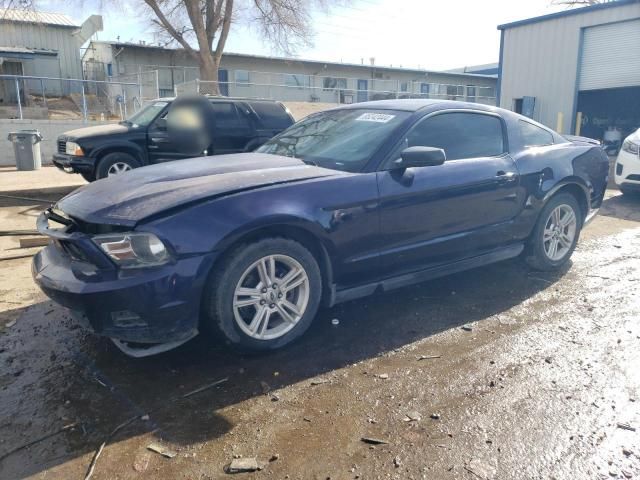 2010 Ford Mustang