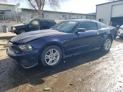 2010 Ford Mustang en venta en Albuquerque, NM