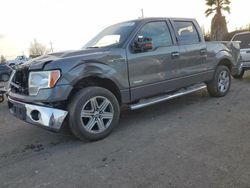 Salvage cars for sale at San Martin, CA auction: 2013 Ford F150 Supercrew