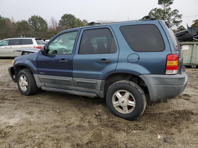 2001 Ford Escape XLT