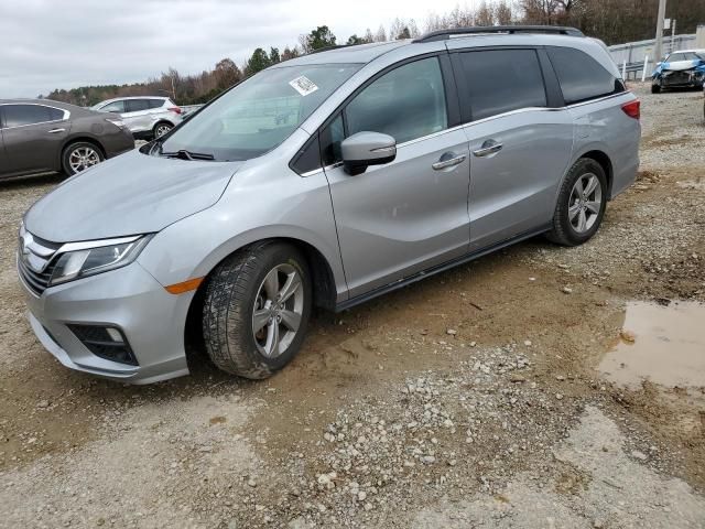 2019 Honda Odyssey EXL