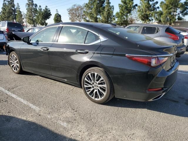 2019 Lexus ES 350