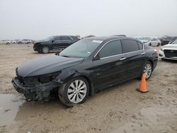 Salvage cars for sale at Houston, TX auction: 2013 Honda Accord EXL