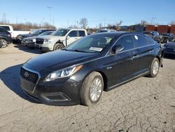 Hyundai salvage cars for sale: 2017 Hyundai Sonata Hybrid