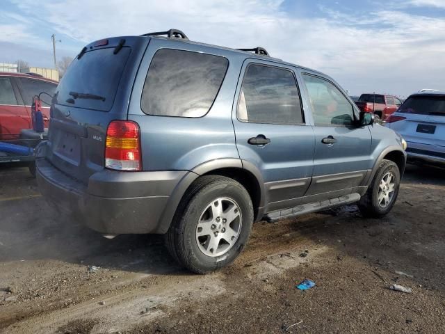 2005 Ford Escape XLT